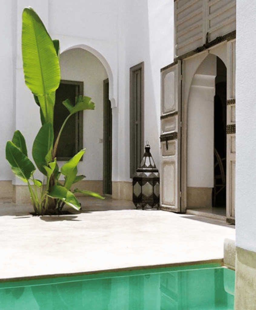 Hotel lobby plants by Botano