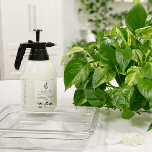 Plants for restaurant interior in Cyprus – Botano installation