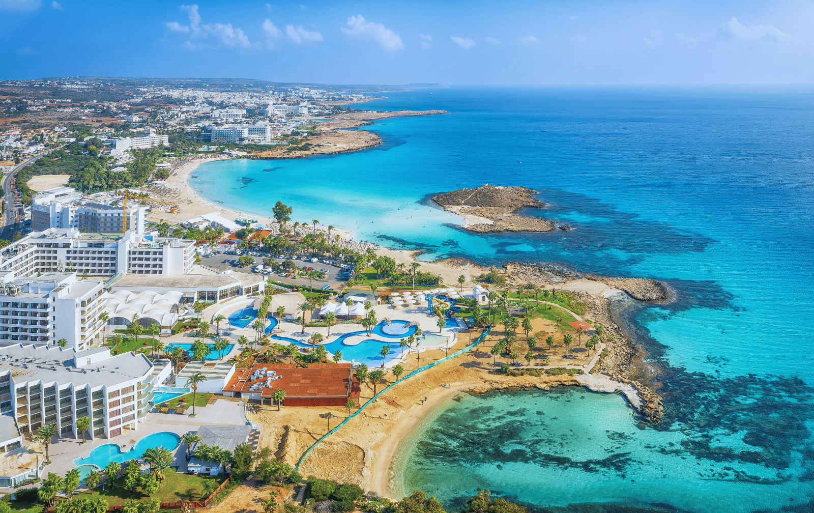 Plants for Hotels and Restaurants Cyprus