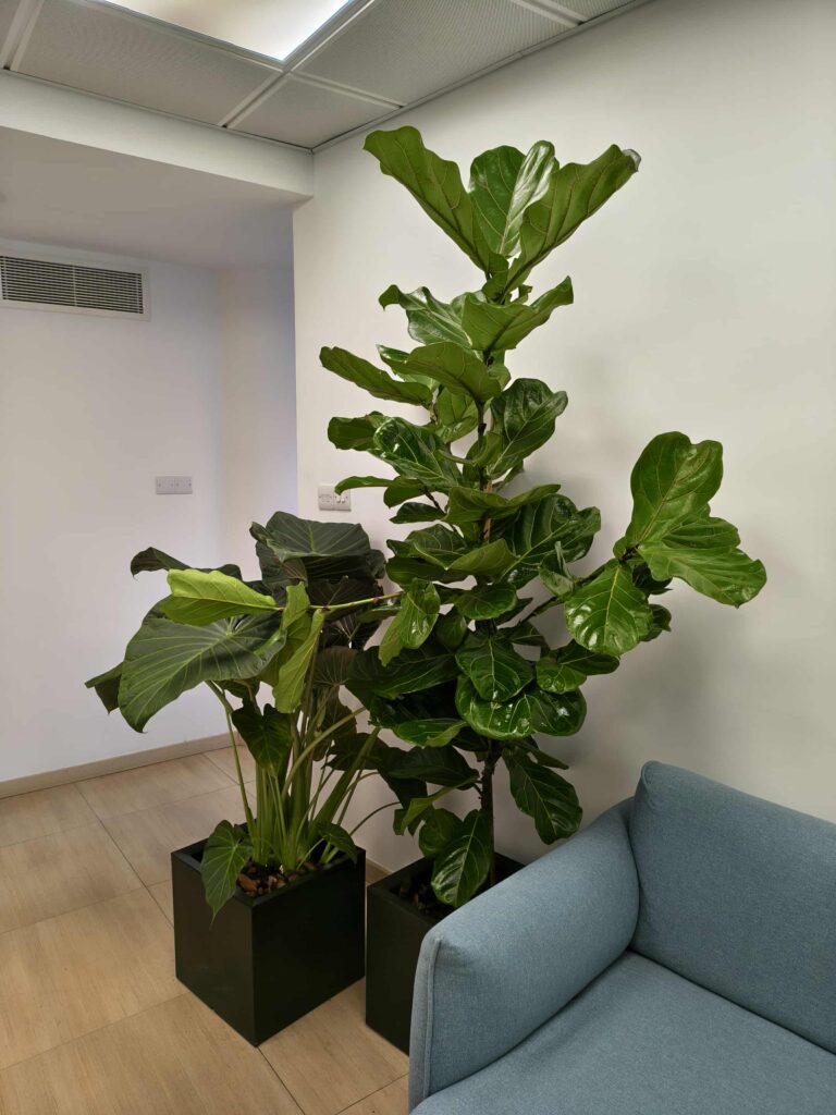 Plants for Professionals Botano